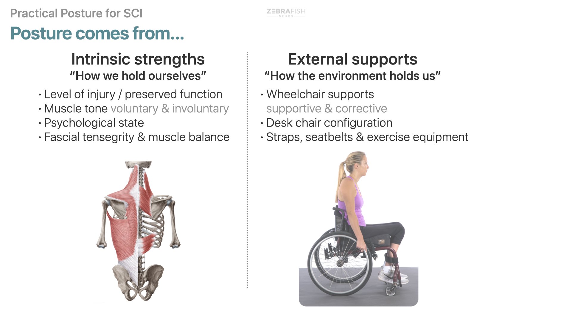 ZN Posture webinar.009.jpeg