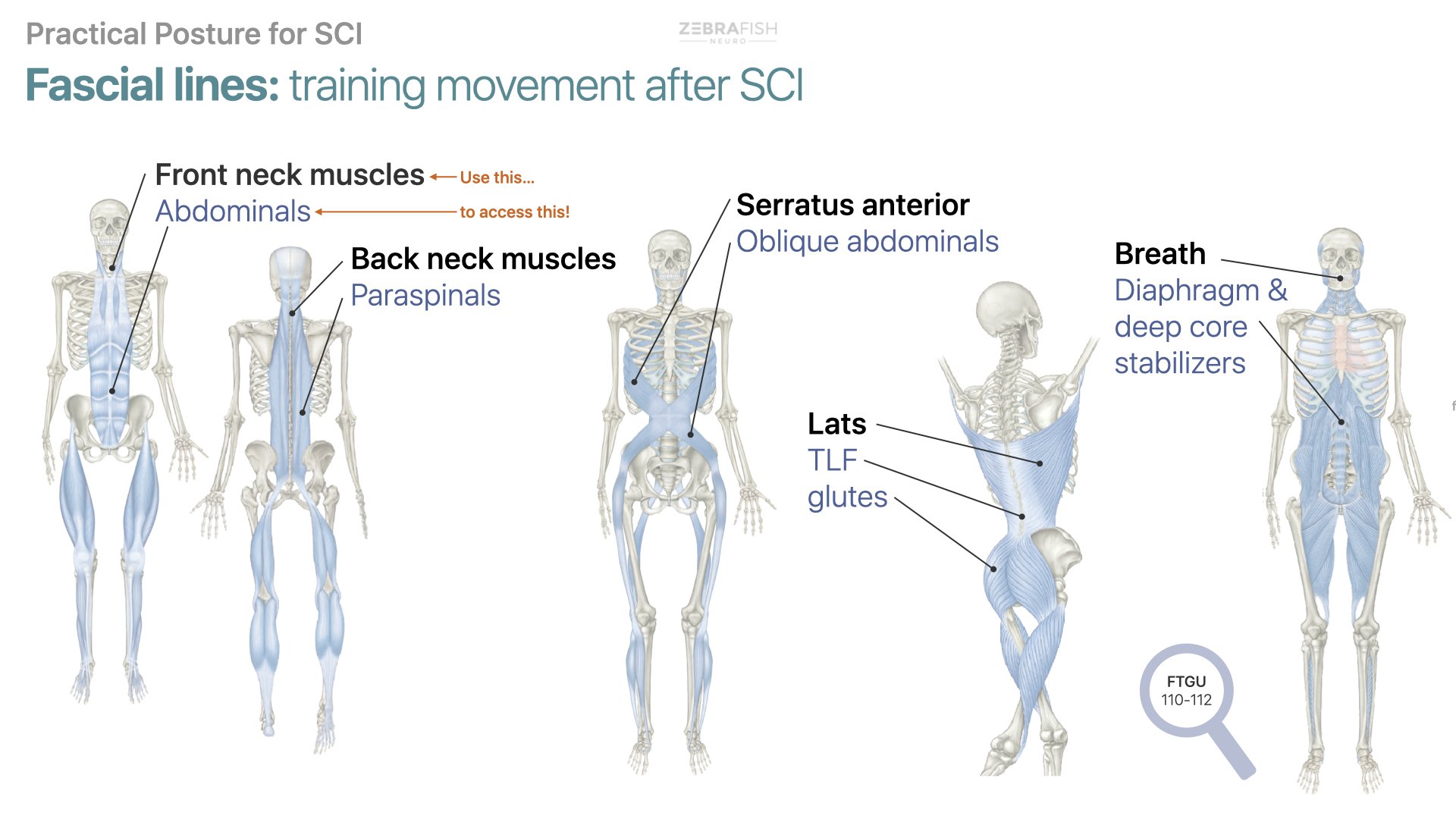 ZN Posture webinar.062.jpeg