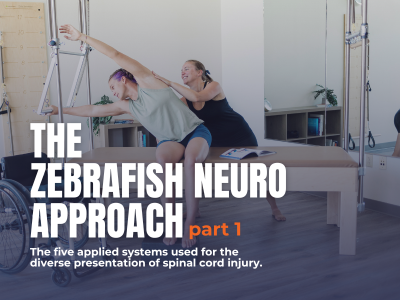 The 5 Applied Systems in the Zebrafish Neuro Approach to Spinal Cord Injury Recovery