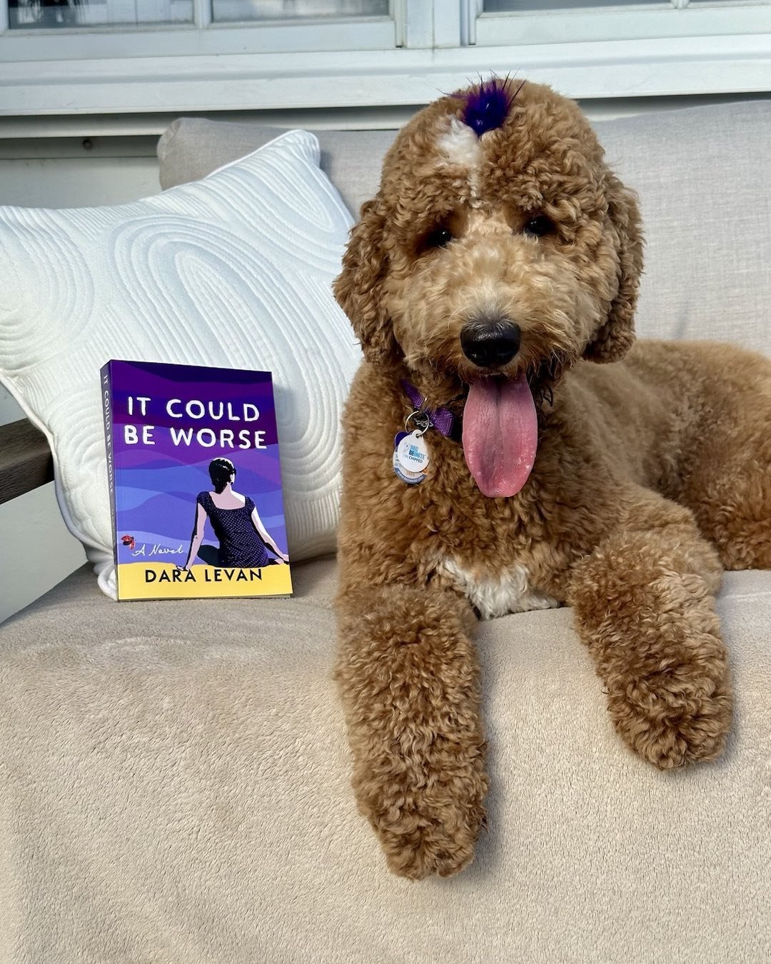 Melody is hanging out with my book baby today! Have you read it yet? 💜 

She said, &ldquo;Check it out&mdash;there are dogs in the story! Themes about motherhood, friendship, and unconditional love. Woof!&rdquo; 
.
.
.
#mustread #sundayfunday #readi