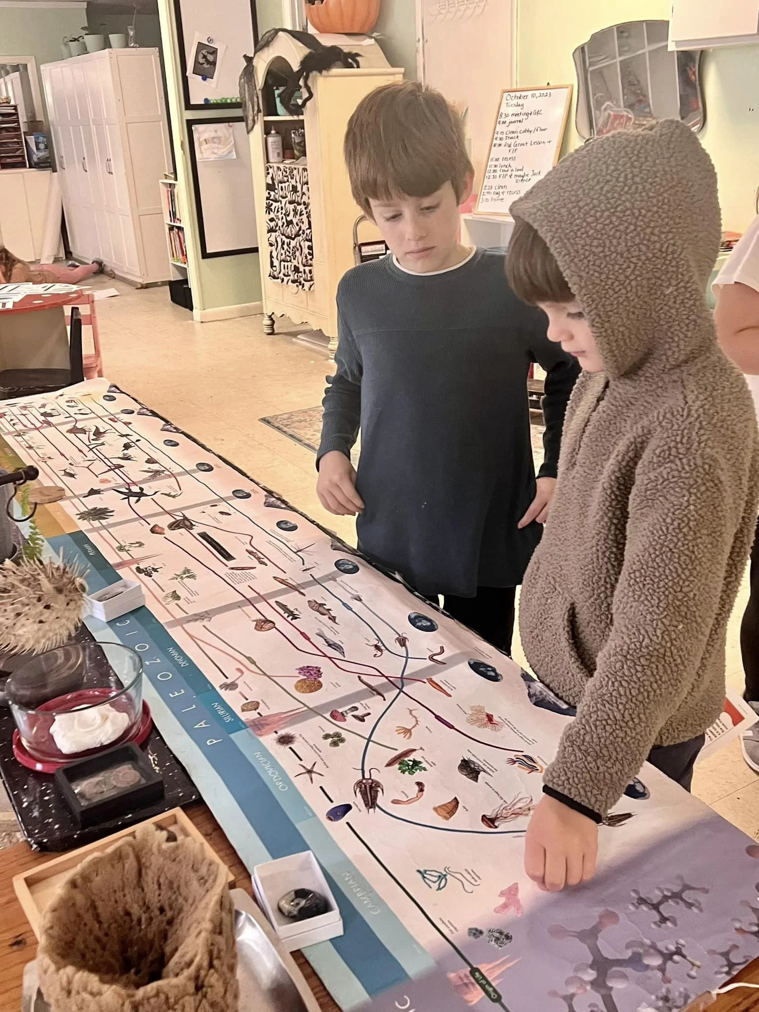 Elementary Classrooms — Azalea City Montessori