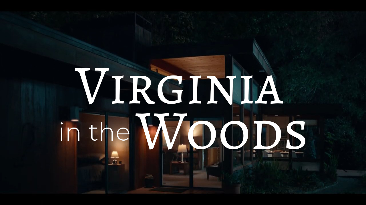 Virginia-in-the-Woods-coverimage.png
