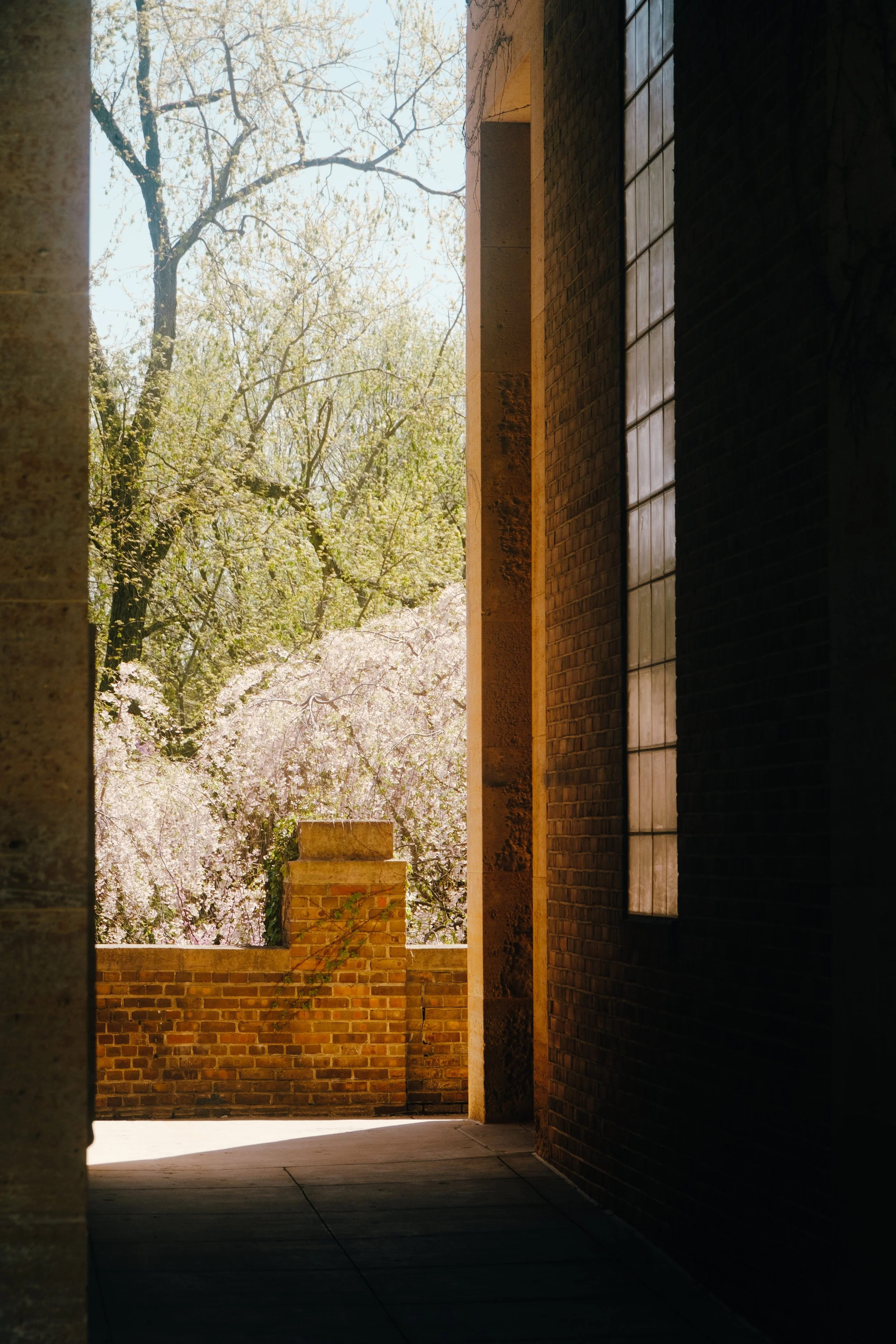 DSCF6396.jpg