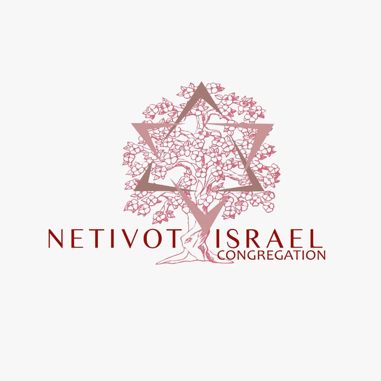 Netivot Israel Congregation banner