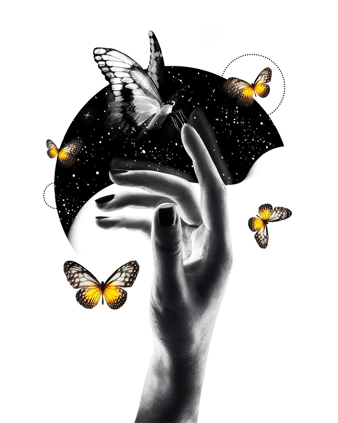 Lupus-Butterflies.jpg