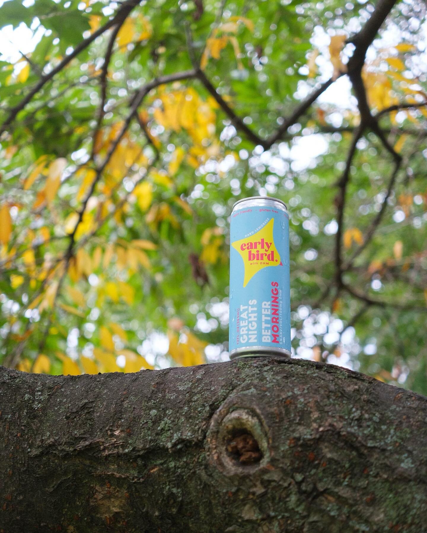 A bird in the hand is worth two in the bush: don&rsquo;t forget to grab yours for Monday night football!

#hardlemonade #dhmdetox #earlybirdflock #greatnightsbettermornings #alcohol #fall #centralpark #nfl #mondaynightfootball