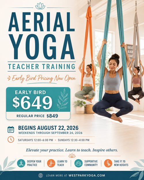 Aerial Yoga Teacher Training