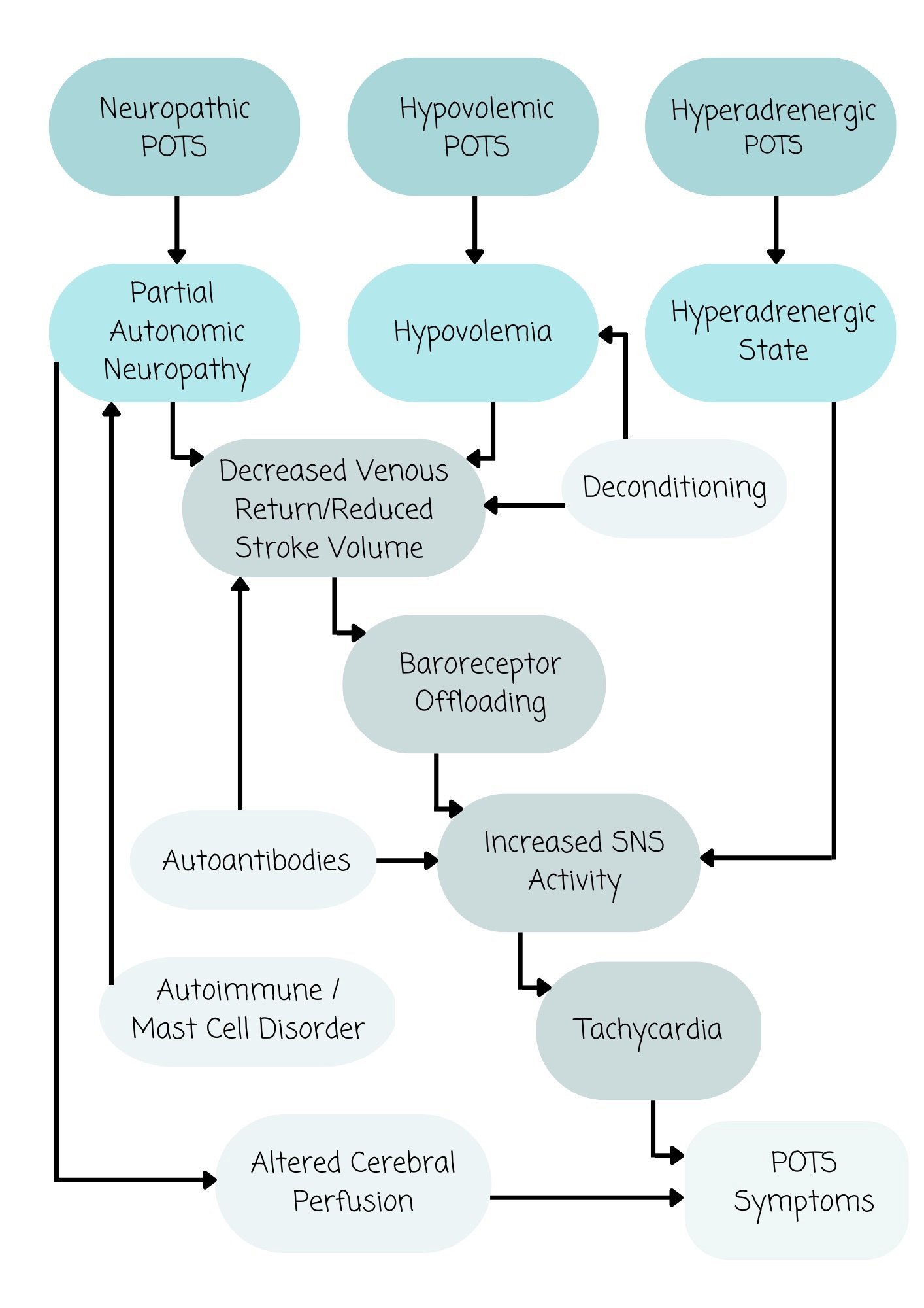 POTS pathophysiological subtypes