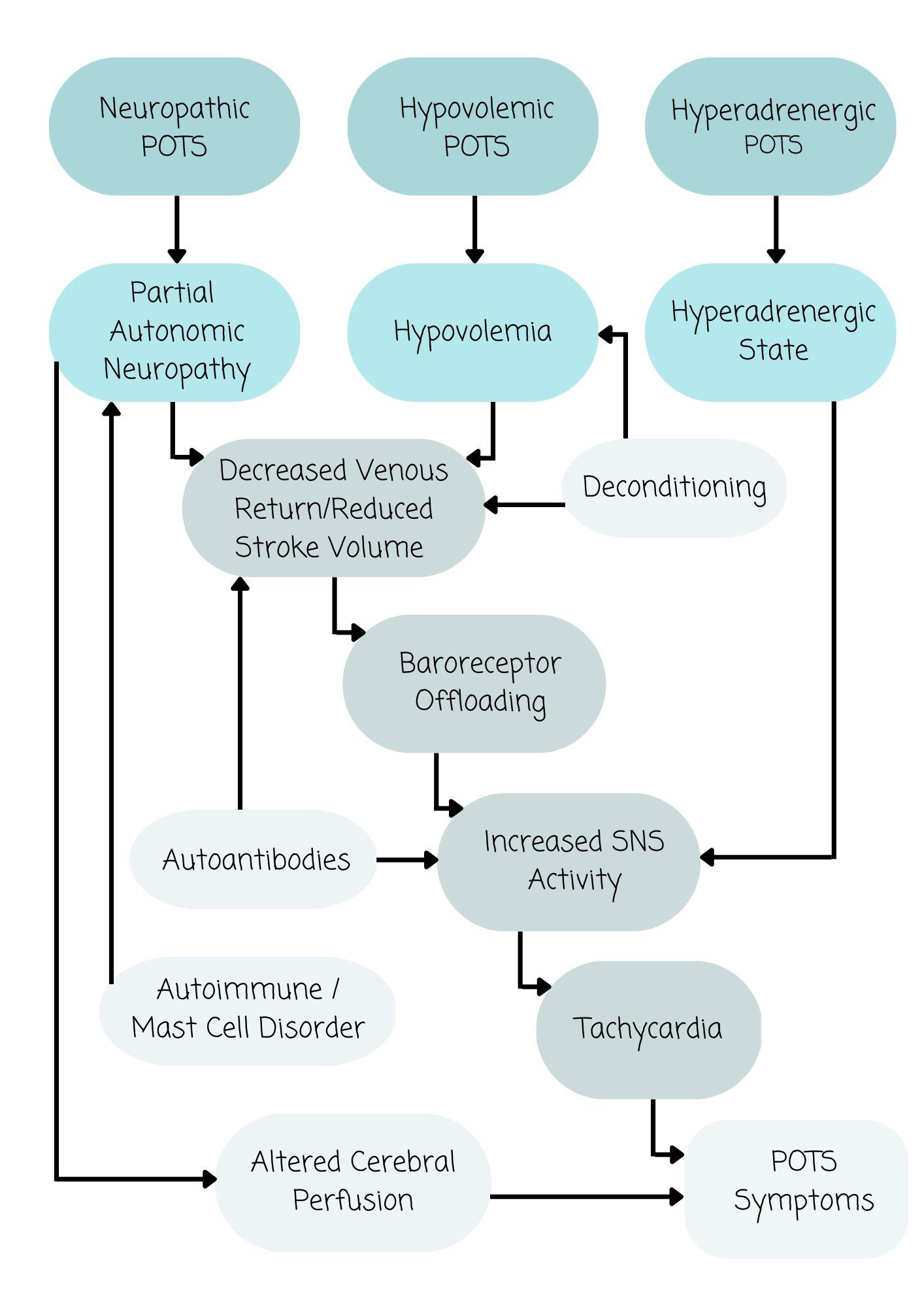 Postural Orthostatic Tachycardia Syndrome Subtypes and Associated Disorders