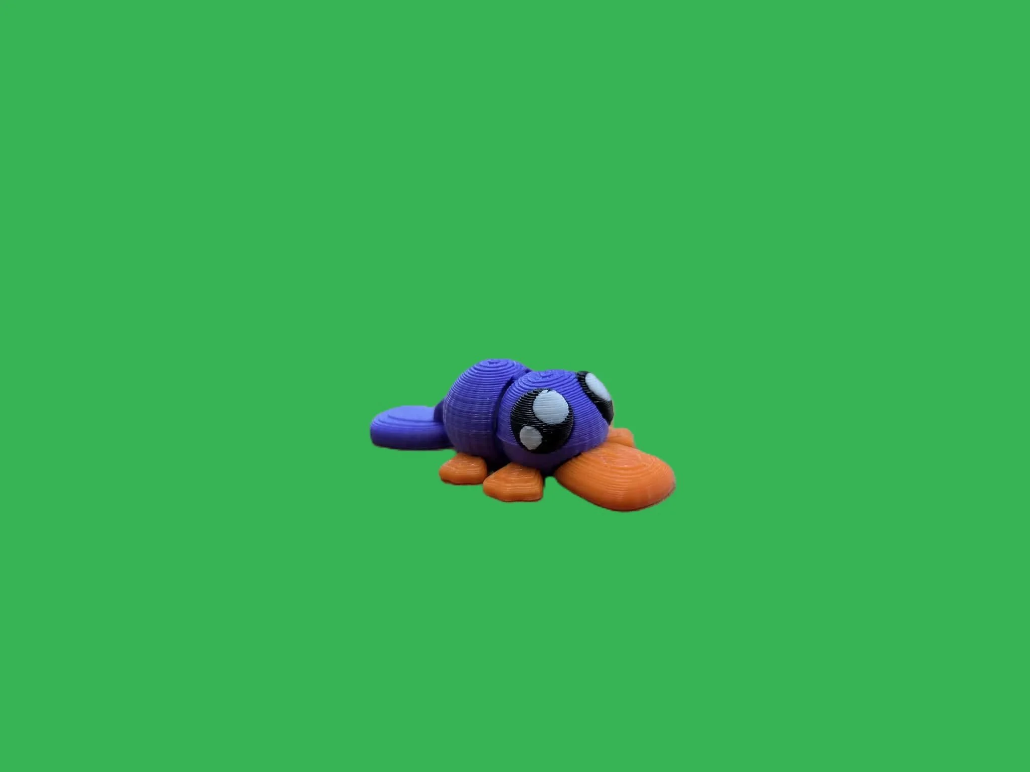 Platypus.1.jpg