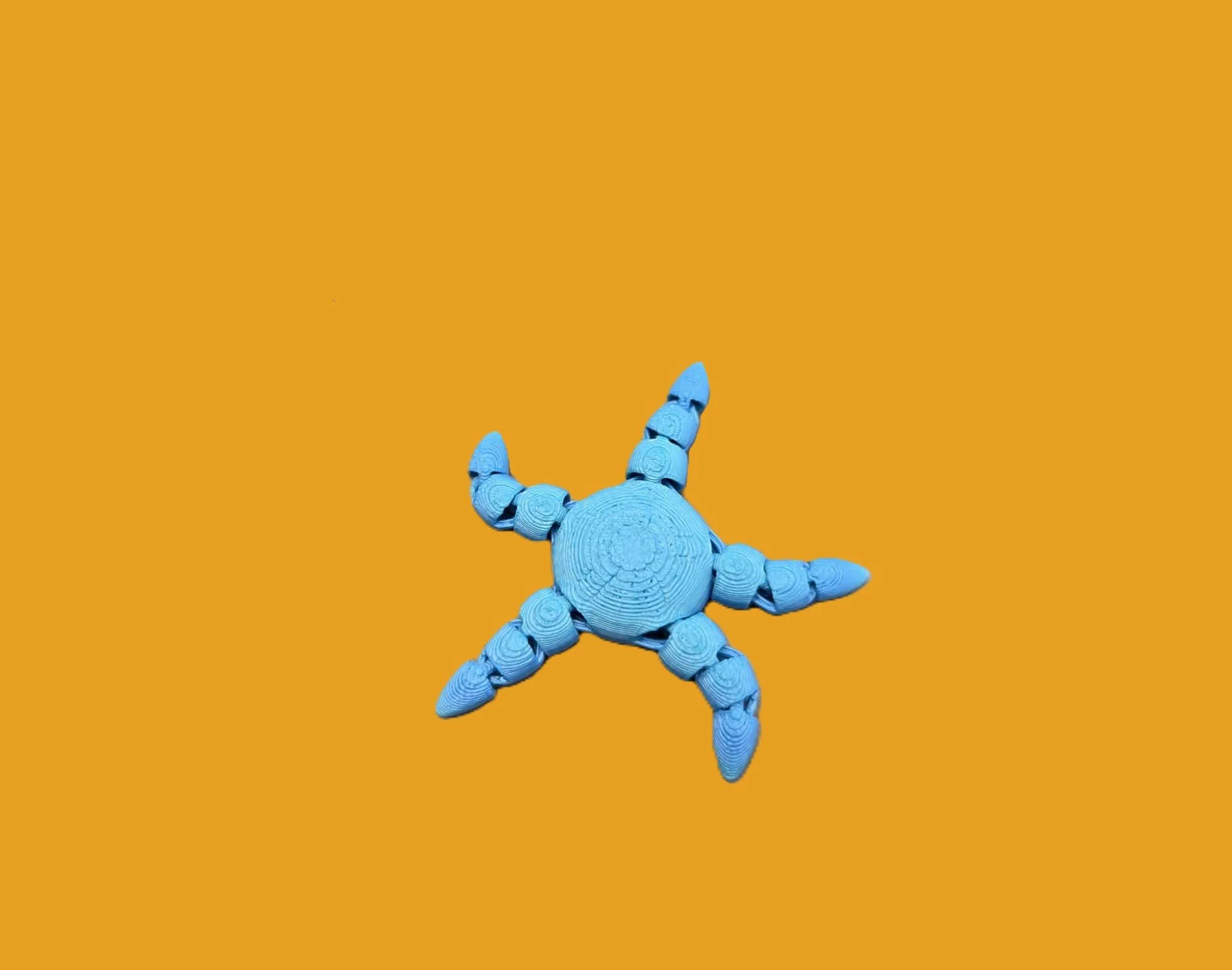 Starfish.1..jpg