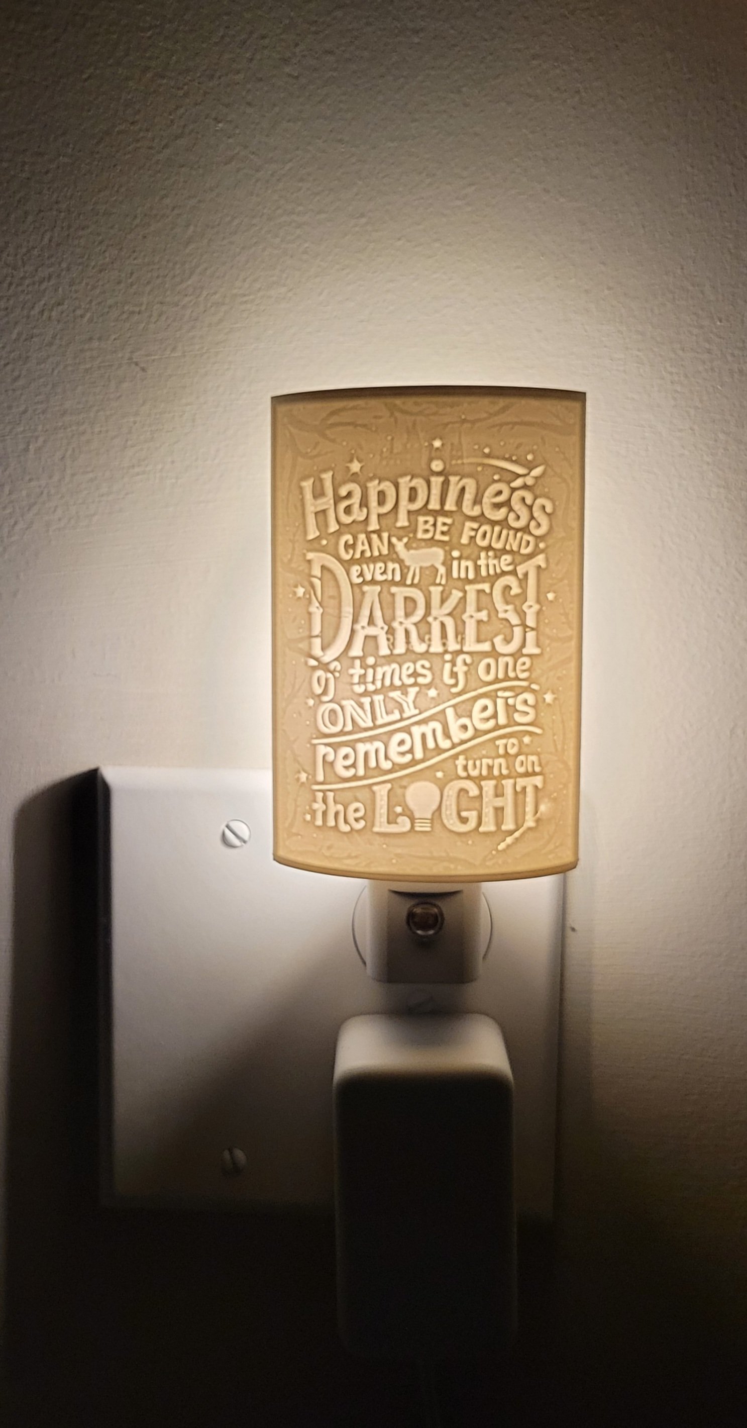 Happiness Found in Darkness.2.jpg