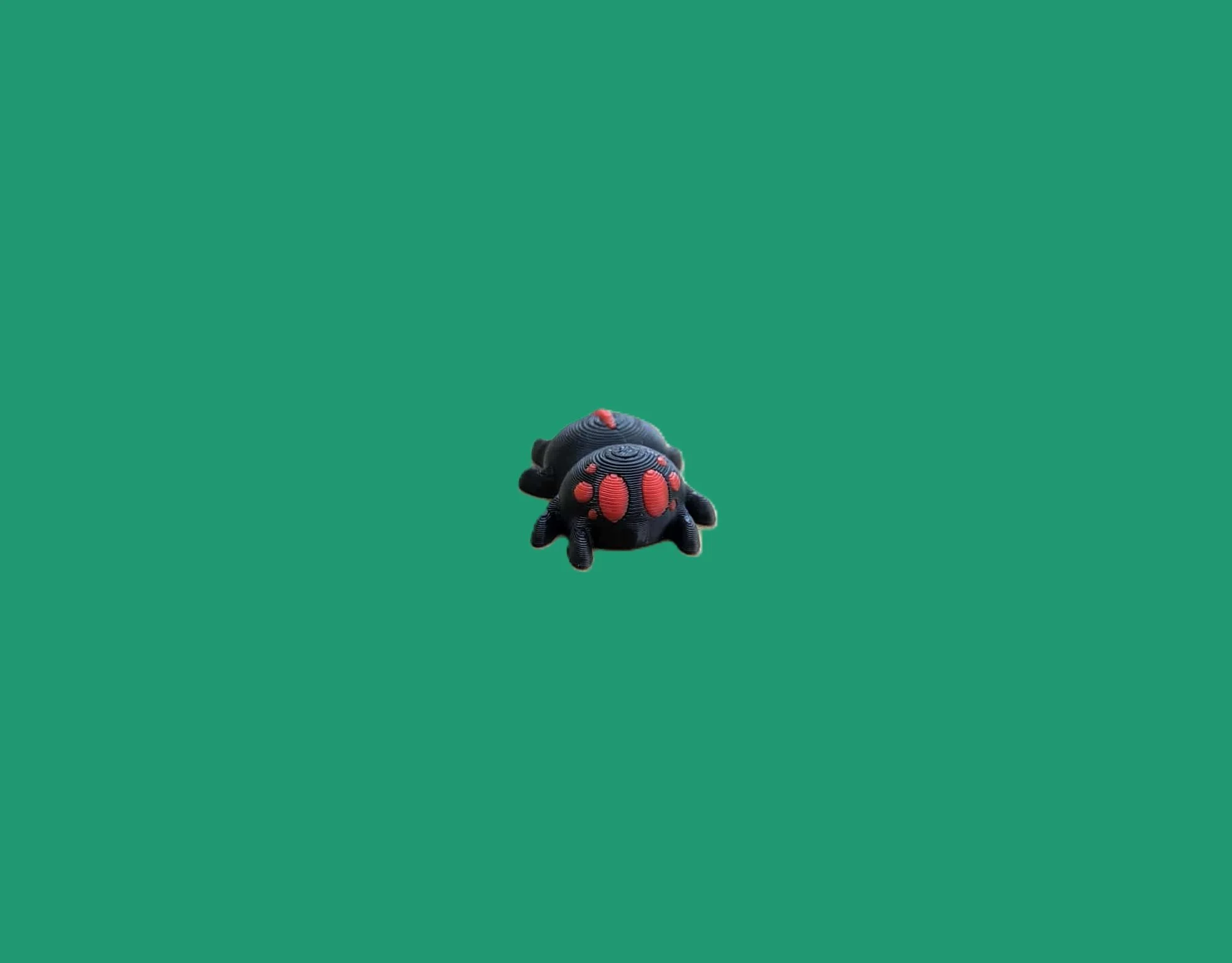Spider.1..jpg