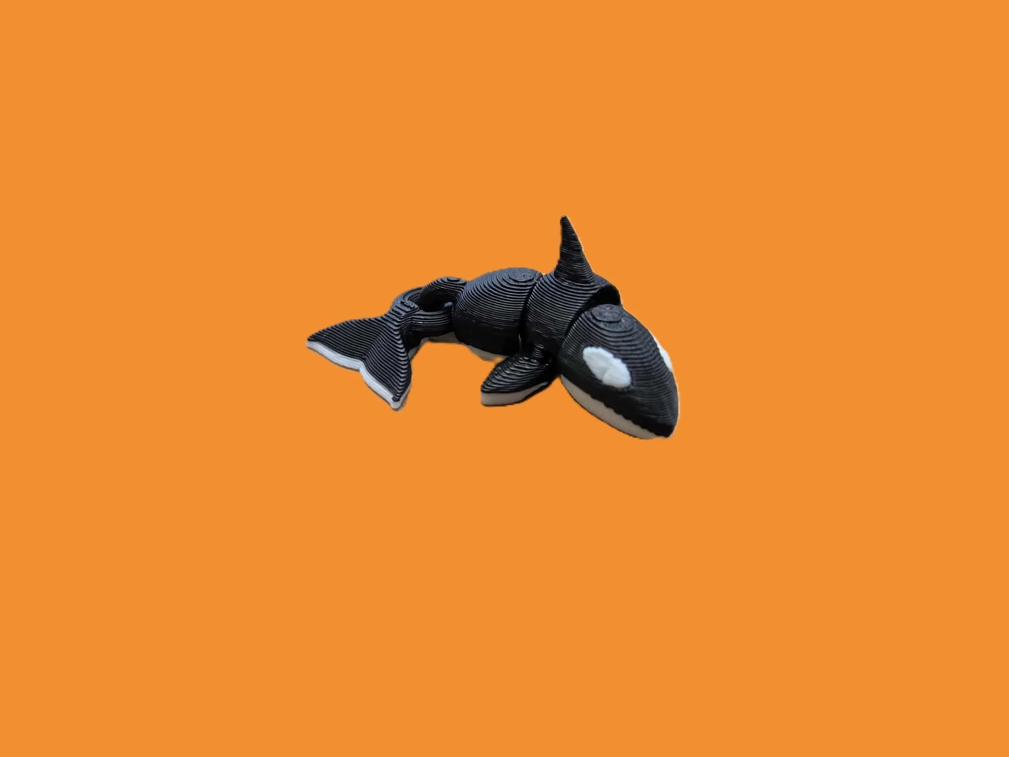 Killer Whale.1.jpg
