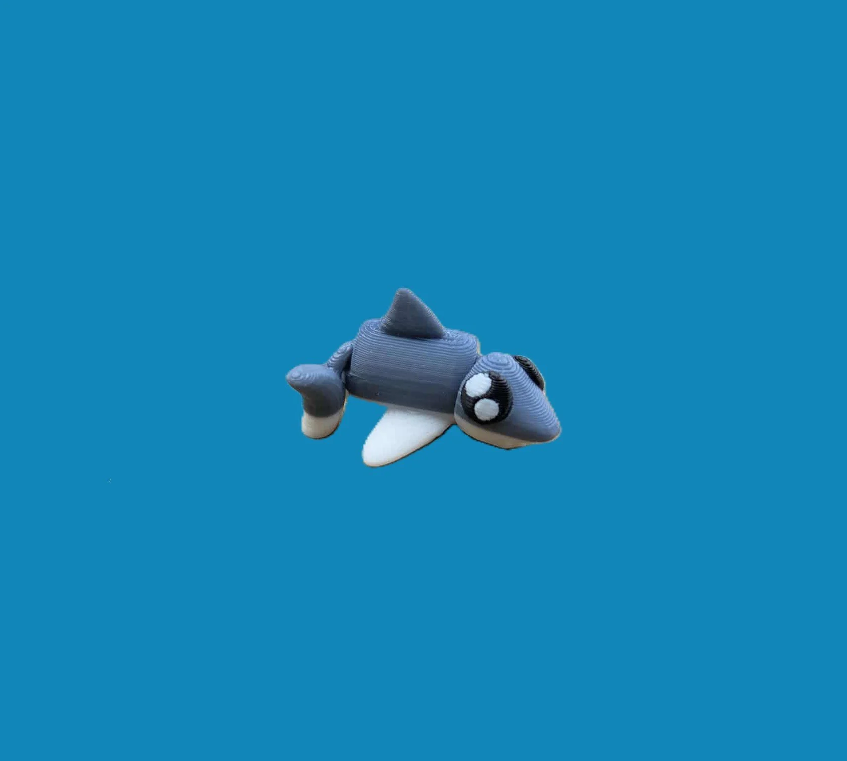 Shark.1..jpg