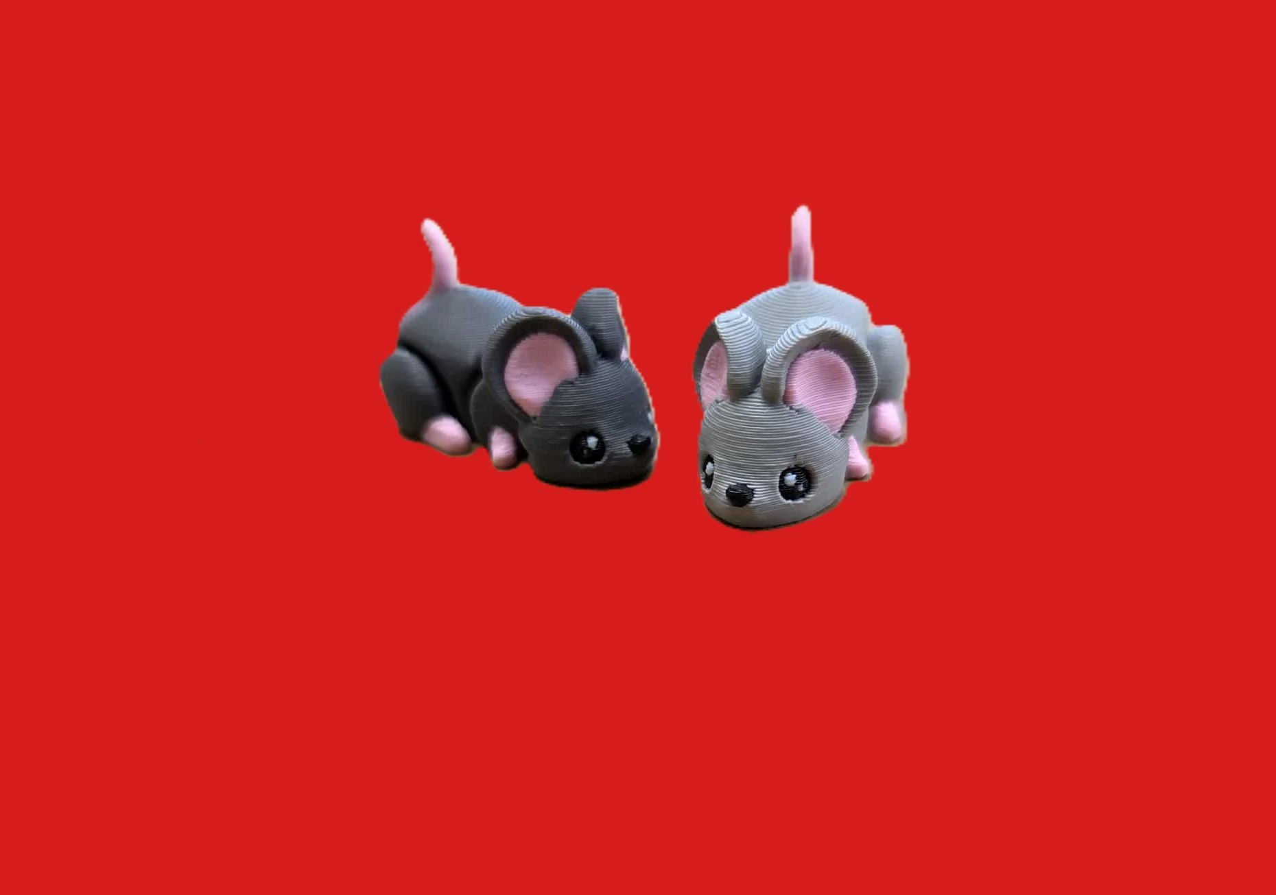 Mouse.1.jpg