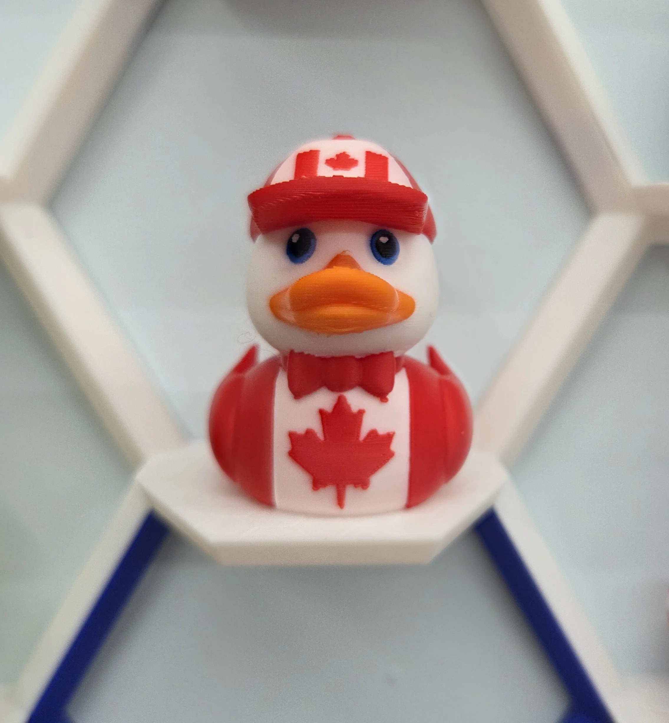 Oh Canada Duck