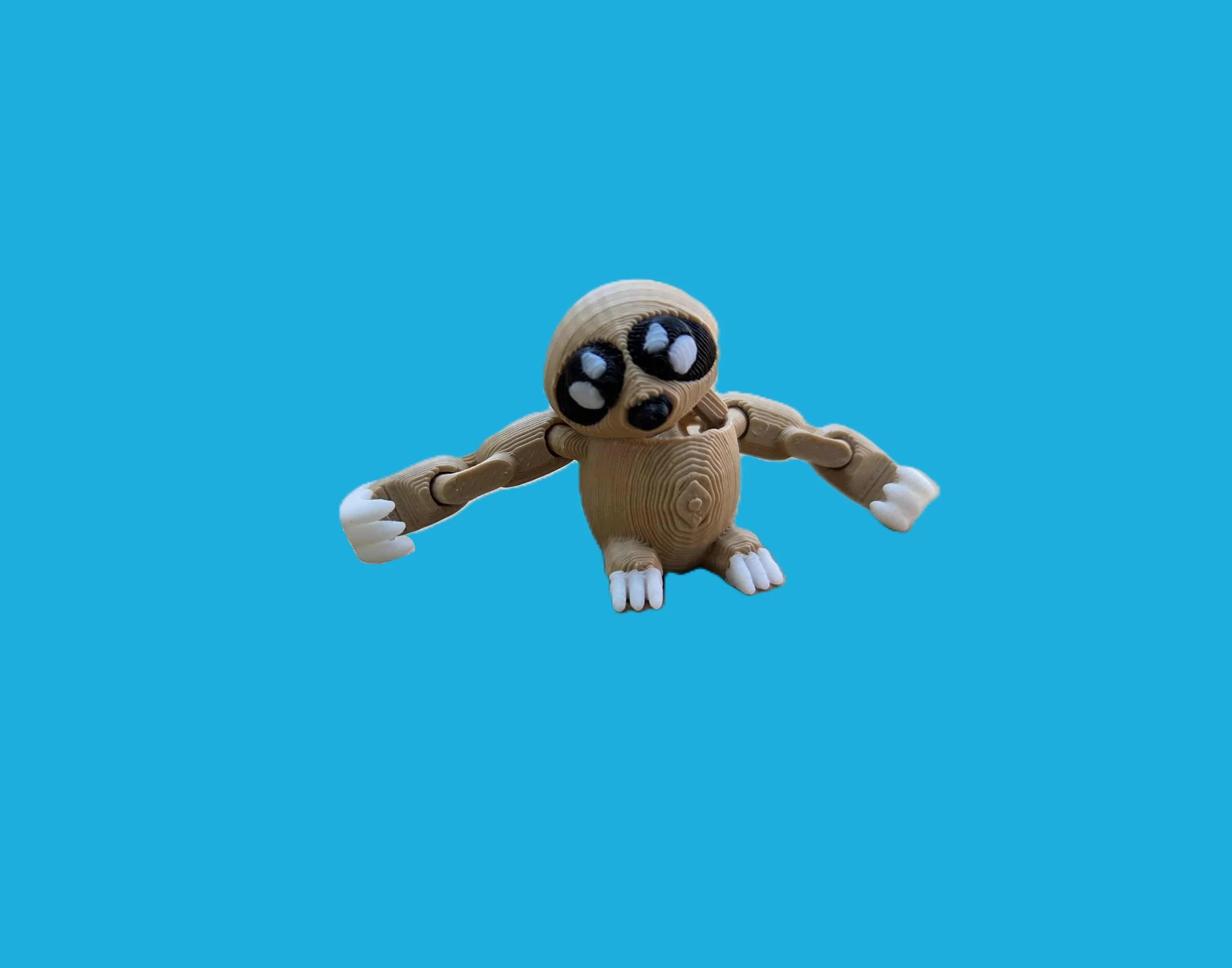 Sloth.1..jpg