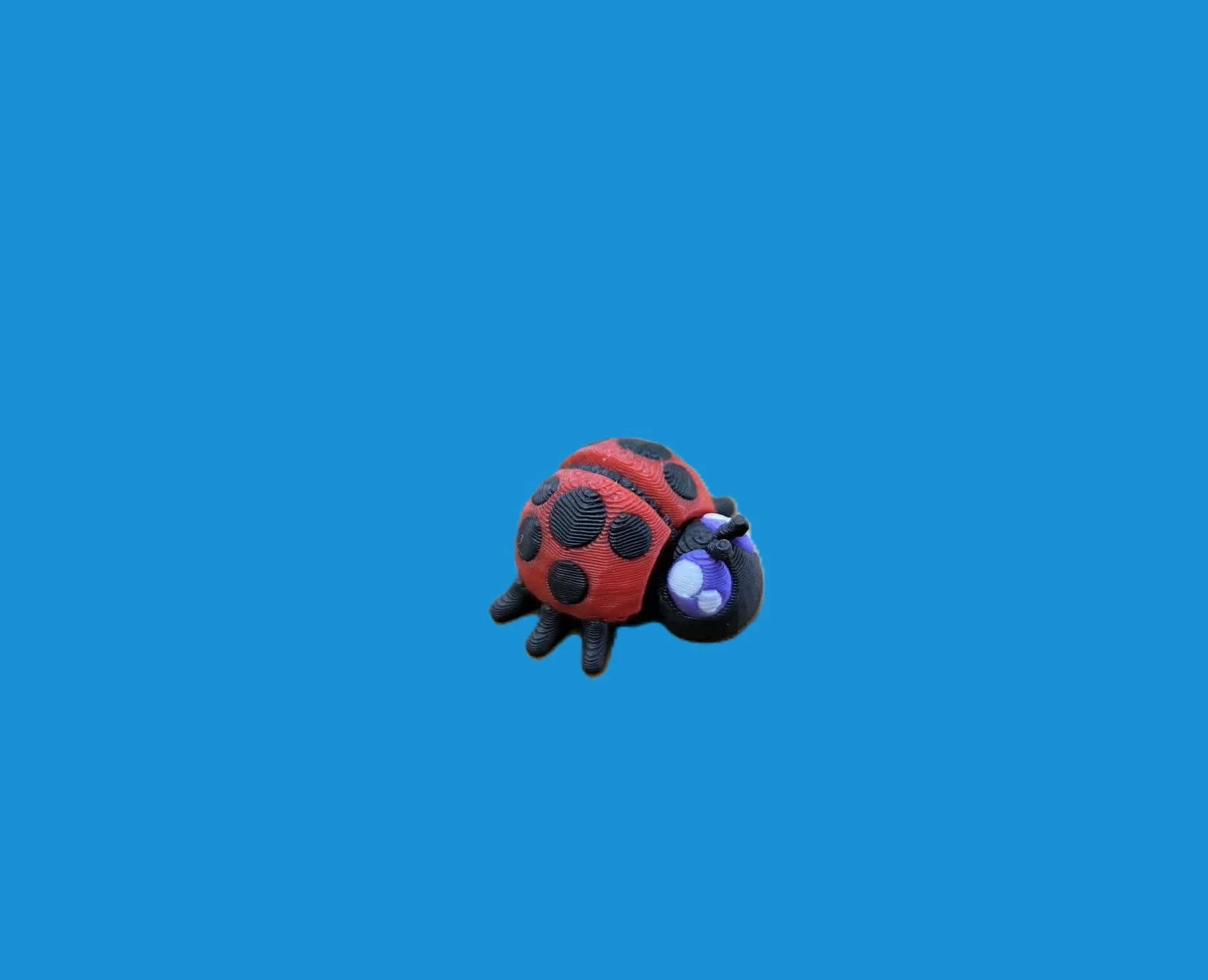 Ladybug.1.jpg