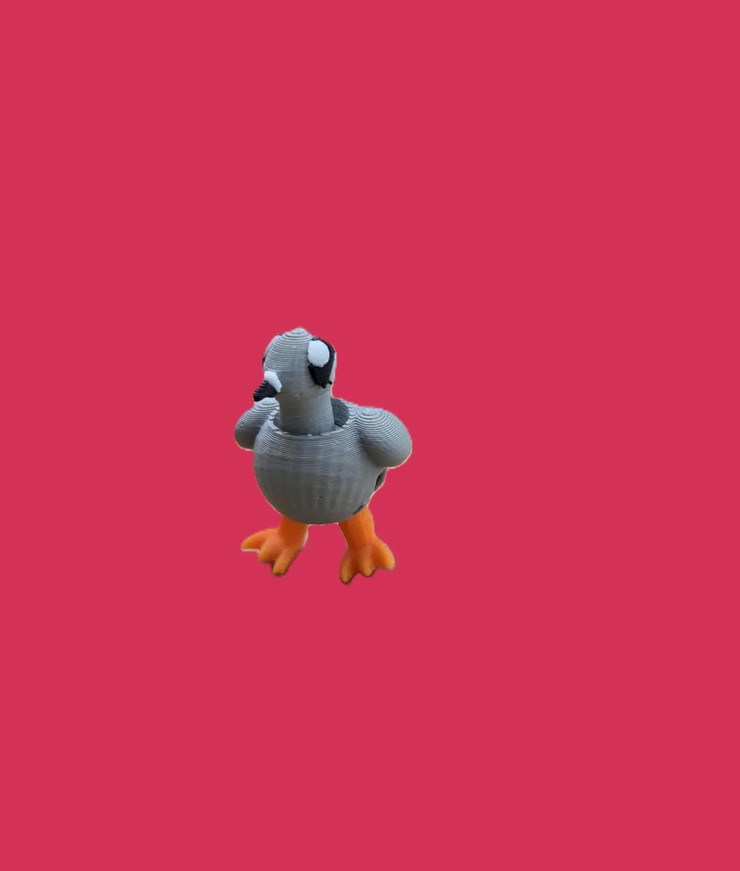 Pigeon.1.jpg