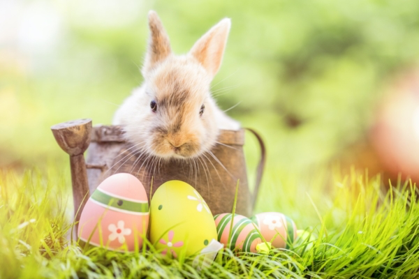Easter.4.png