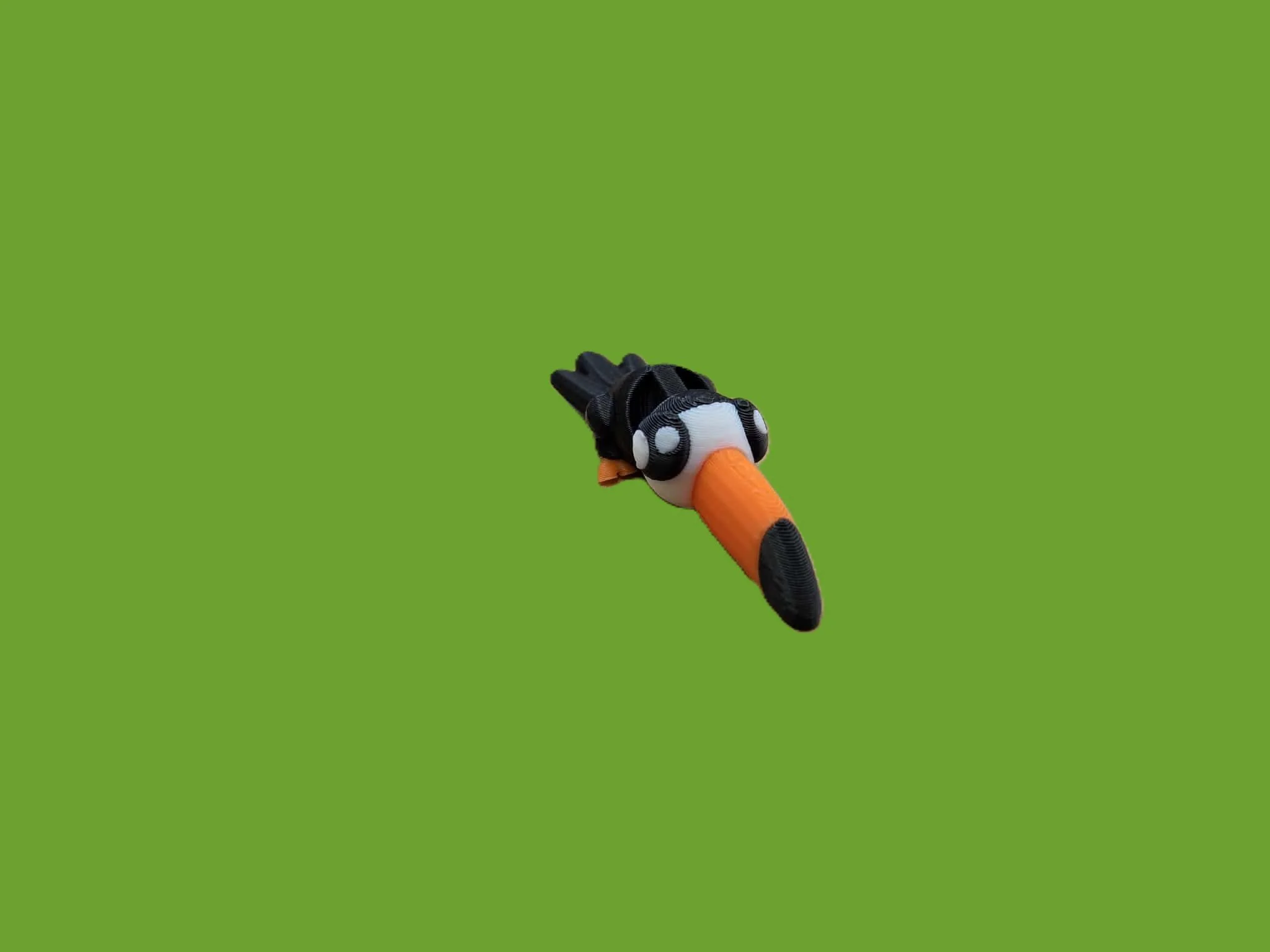 Toucan.1..jpg