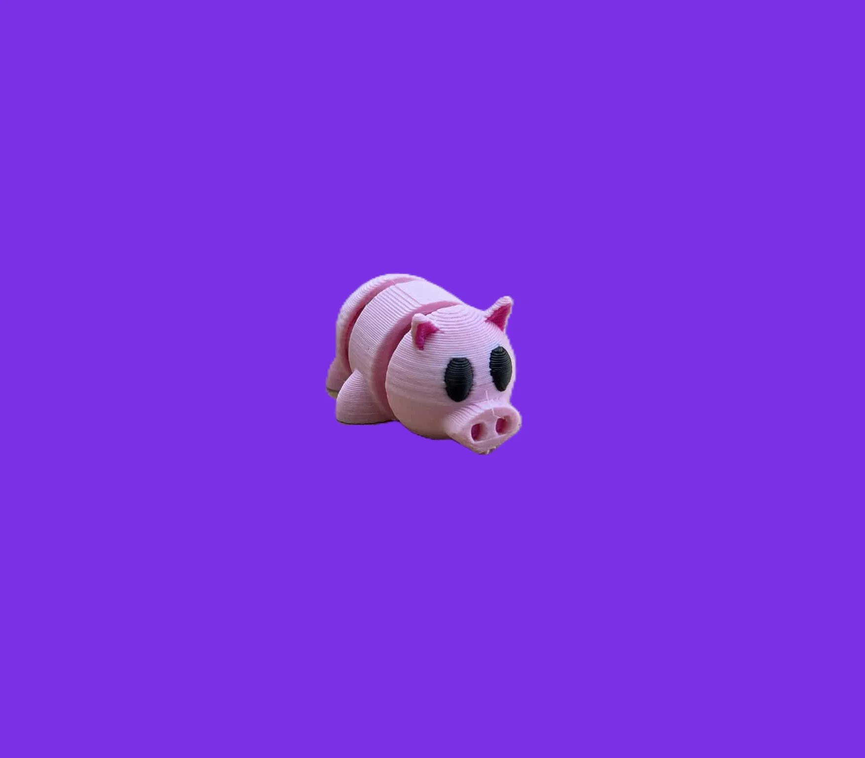 Pig.1.jpg