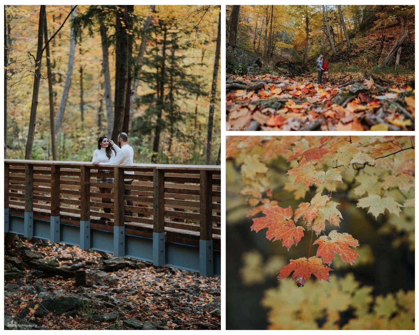 Fall photo session considered done!
#engagement #engagementphotos #engagementphotography #fall #autumn #autumnvibes #love #couple