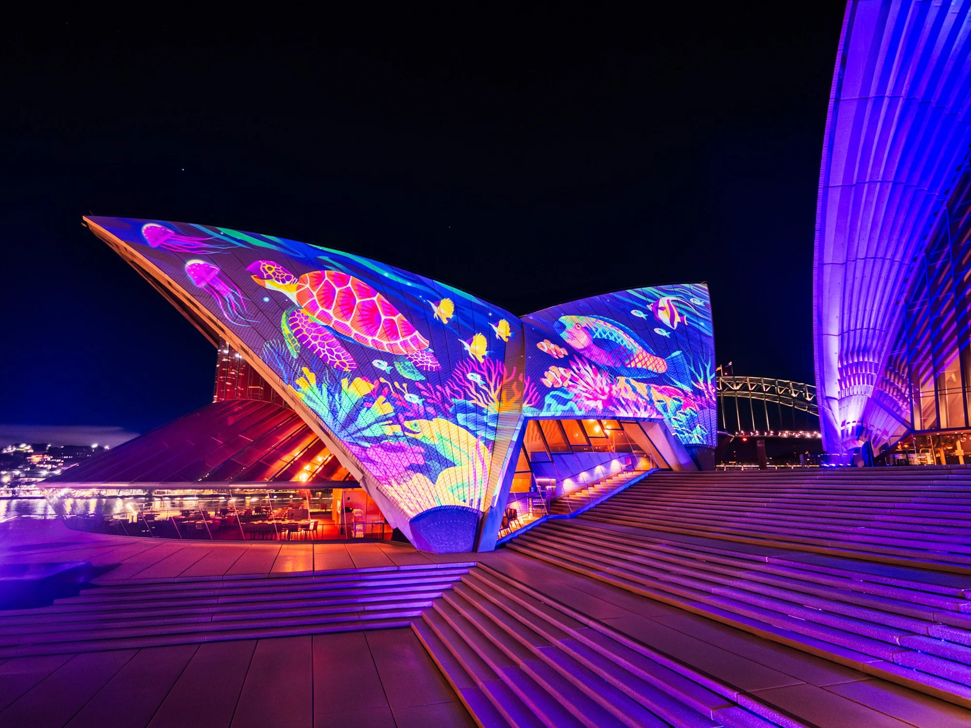 Rebecca Mills - “It’s Beautiful Down Here”LR.jpg