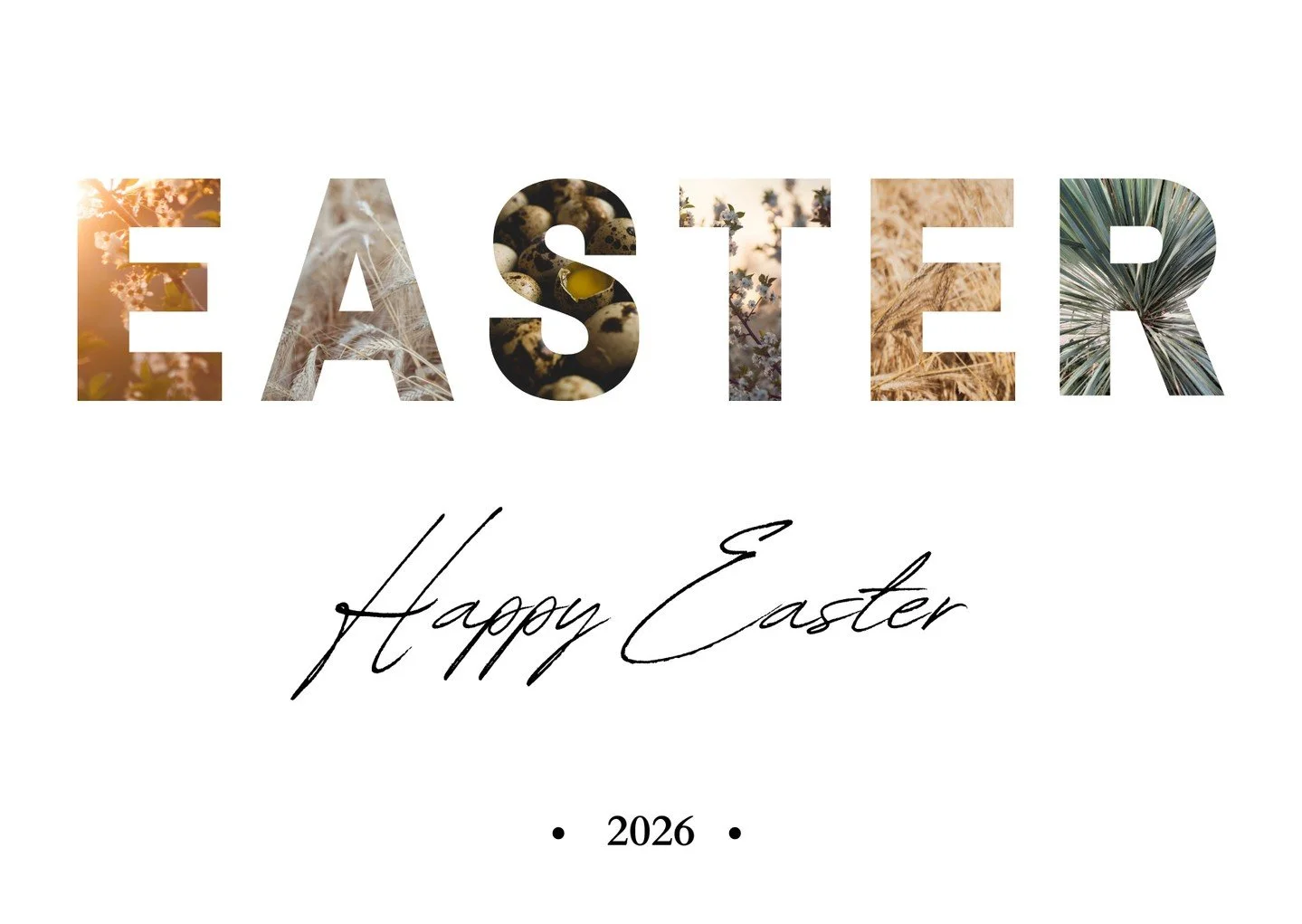 Happy Easter from Team Classic! 🐣🌼 ⁠
⁠
As the Easter long weekend begins, Team Classic would like to wish everyone a very Happy Easter. We hope you enjoy the extra-long weekend, stay safe on the roads, and enjoy some quality time with family and fr
