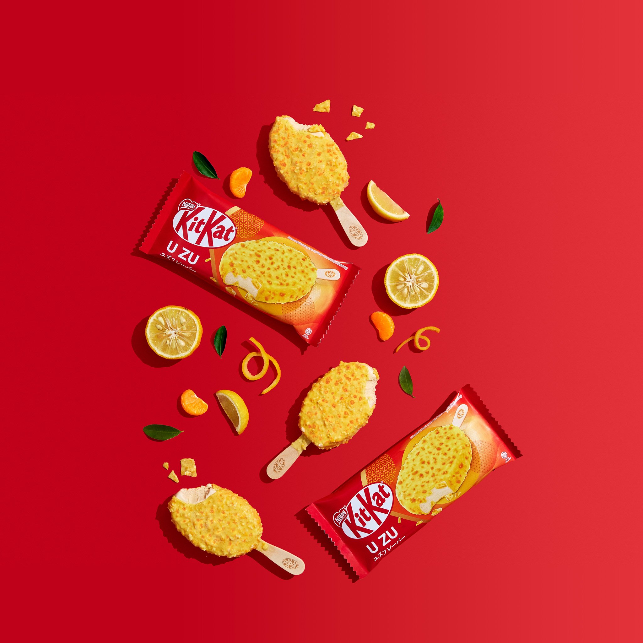 20231214_KitKatUZu9680_web.jpg