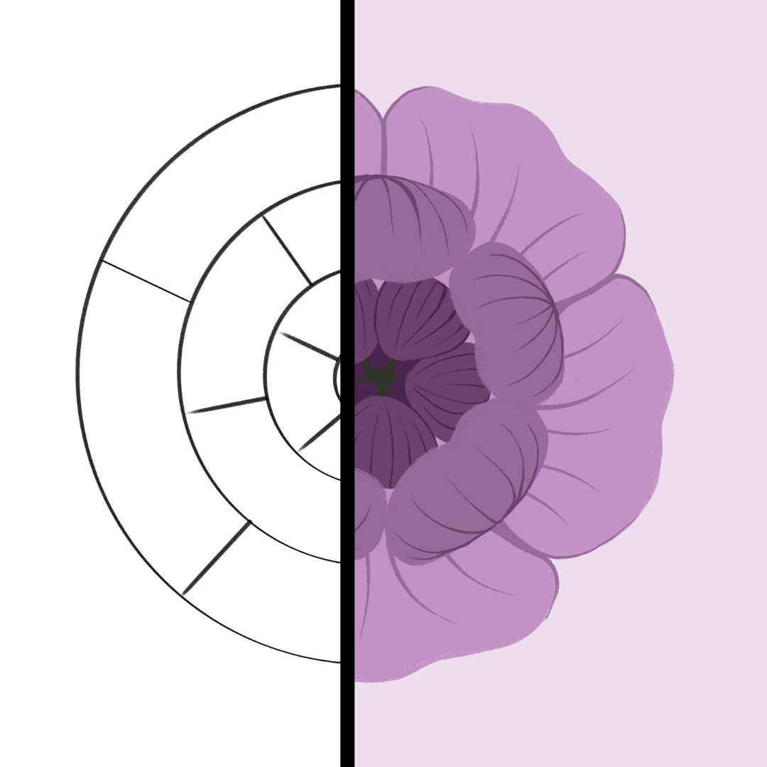 13.png