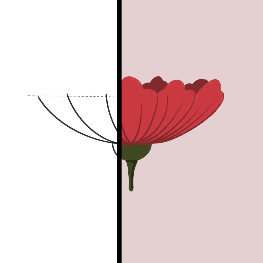 9.png