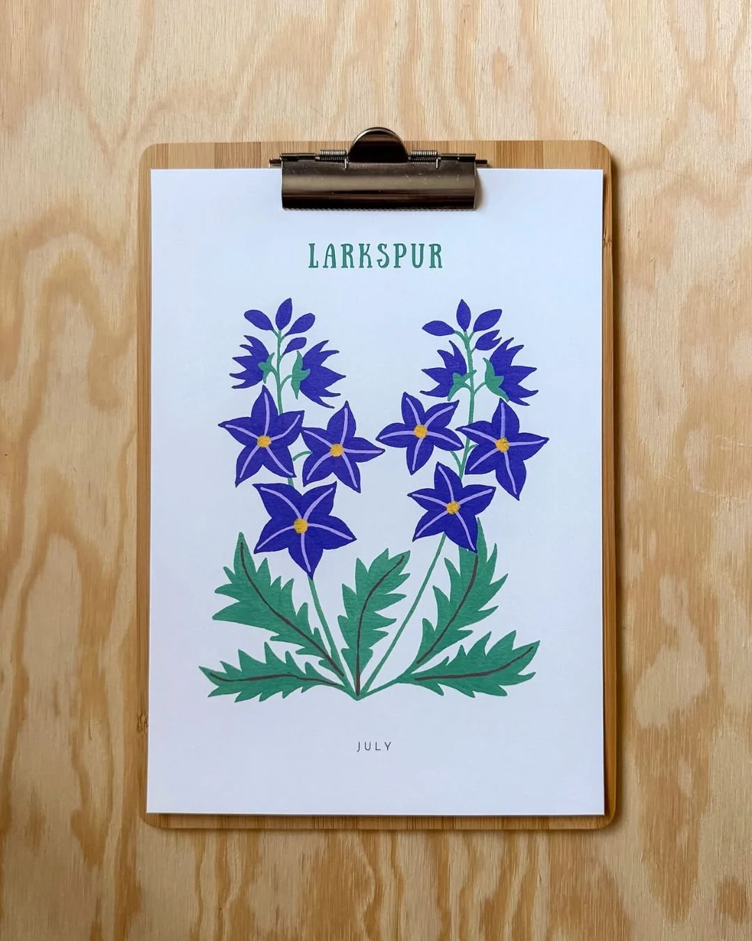 Larkspur – Birth Flower (July) Art Print (A4)
