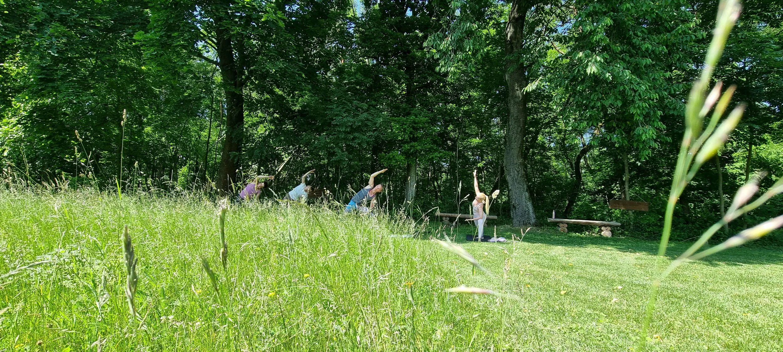 Balance & Stille | Yoga Tages Retreat im Grünen