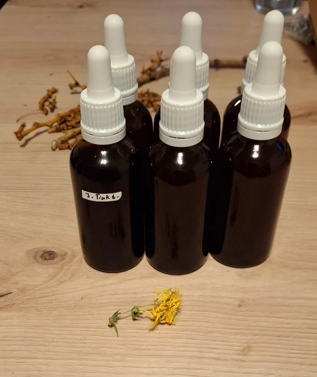 WhatsApp Image 2026-01-16 at 18.25.13 (1).jpeg