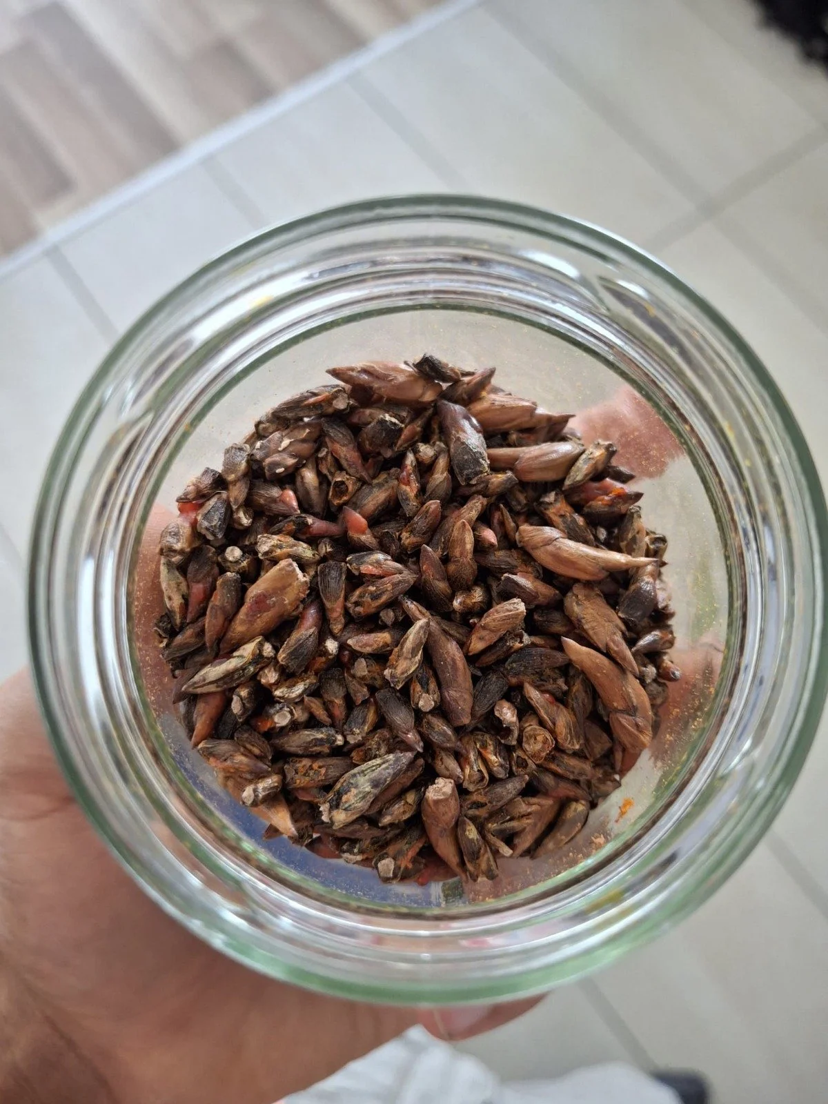 WhatsApp Image 2026-01-16 at 18.25.13.jpeg