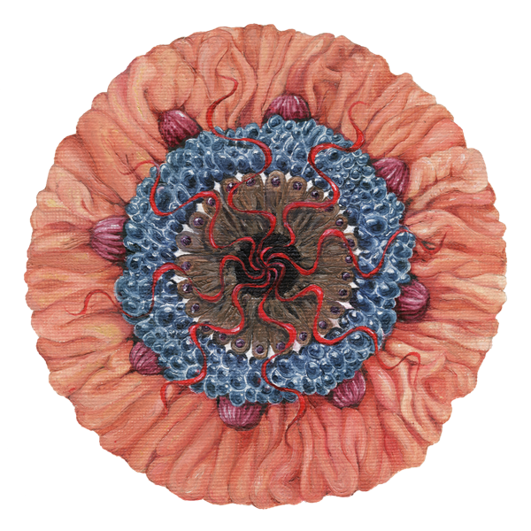 source_600px.png