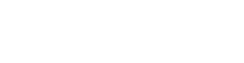 ElectricSpoke