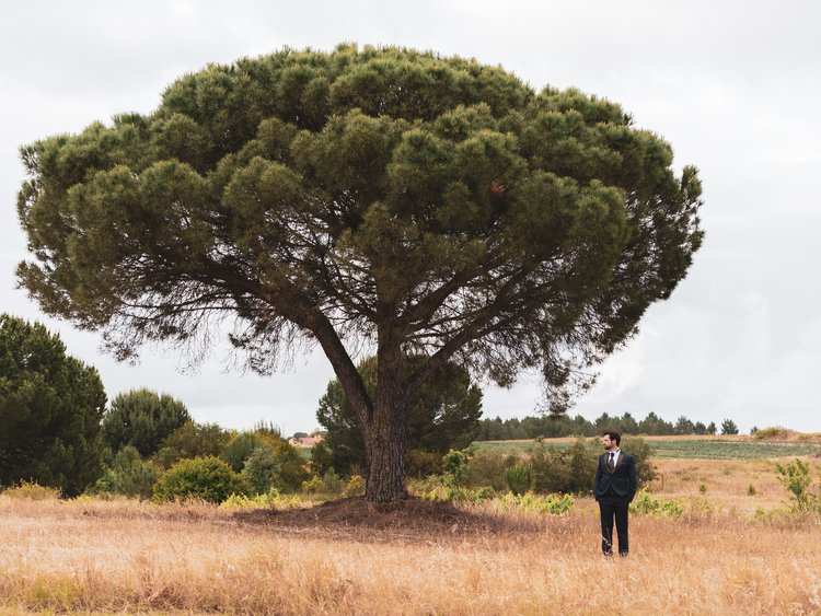 wedding photography, fotografo casamentos, évora, leiria