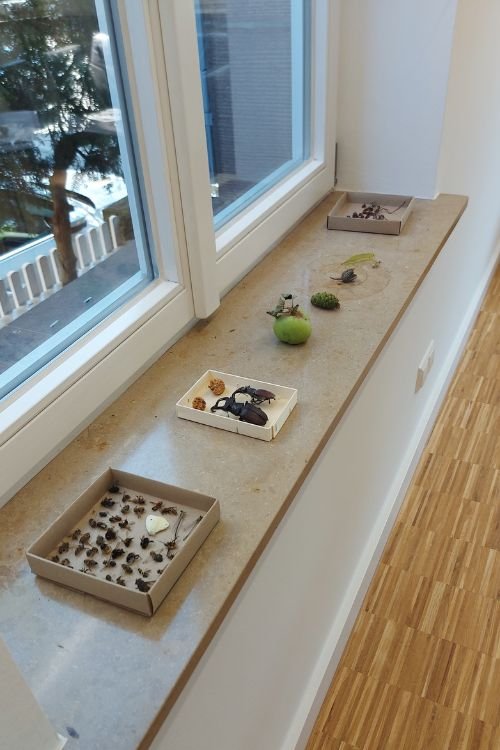 Collection of objects.jpg