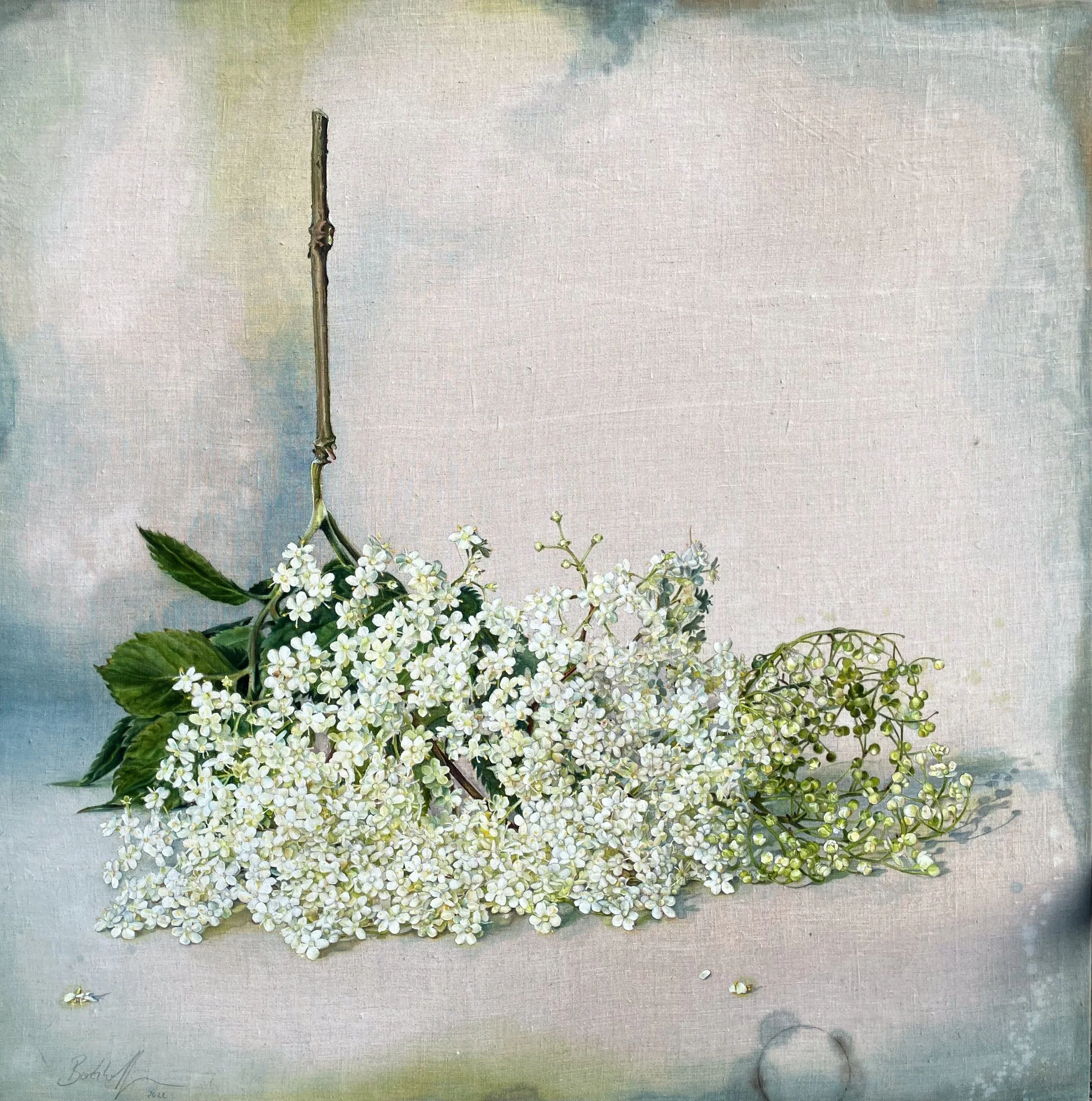 Andrea Boeckhoff - Holunderblüte