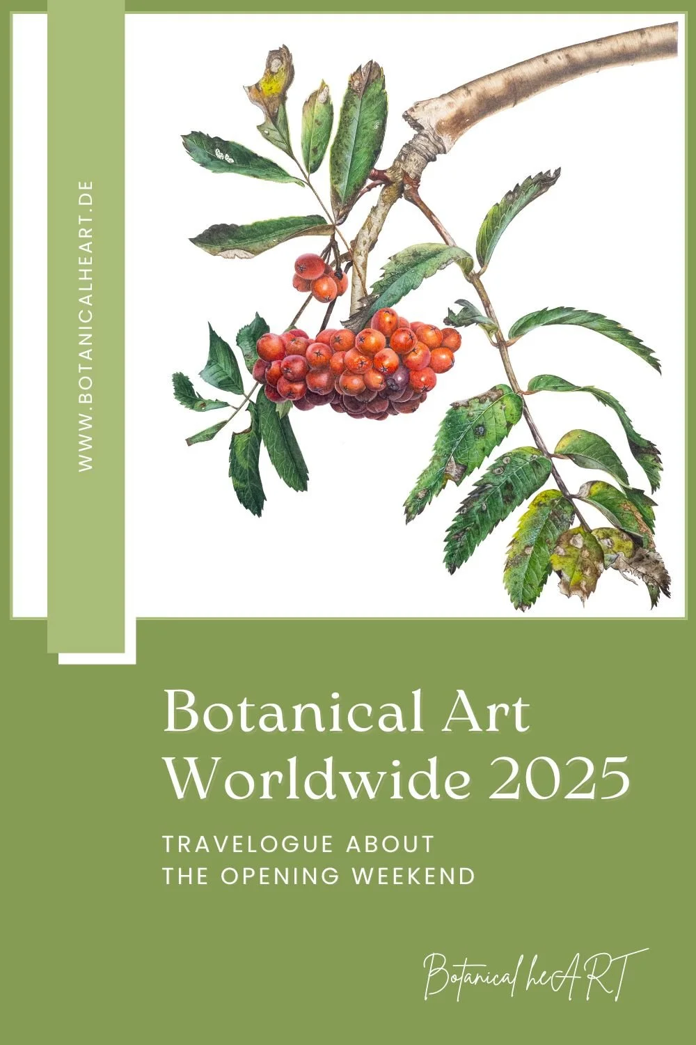 Travelogue: Botanical Art Worldwide 2025