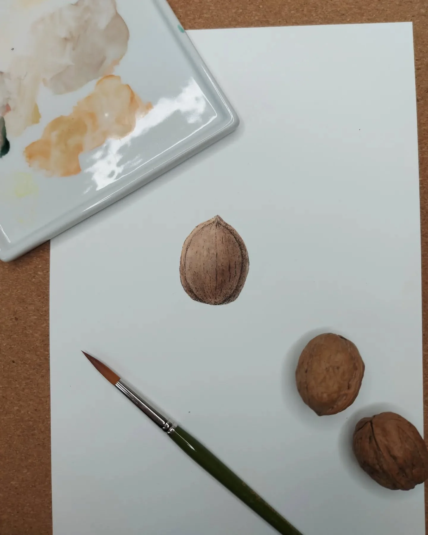 🌰 N like Nut - Alphabet Superset Challenge

Actually I thought I was not that great with browns especially with darker browns.

But I'm quite satisfied how this walnut turned out.

Like so often, we have to work on what we think we are not good at. 