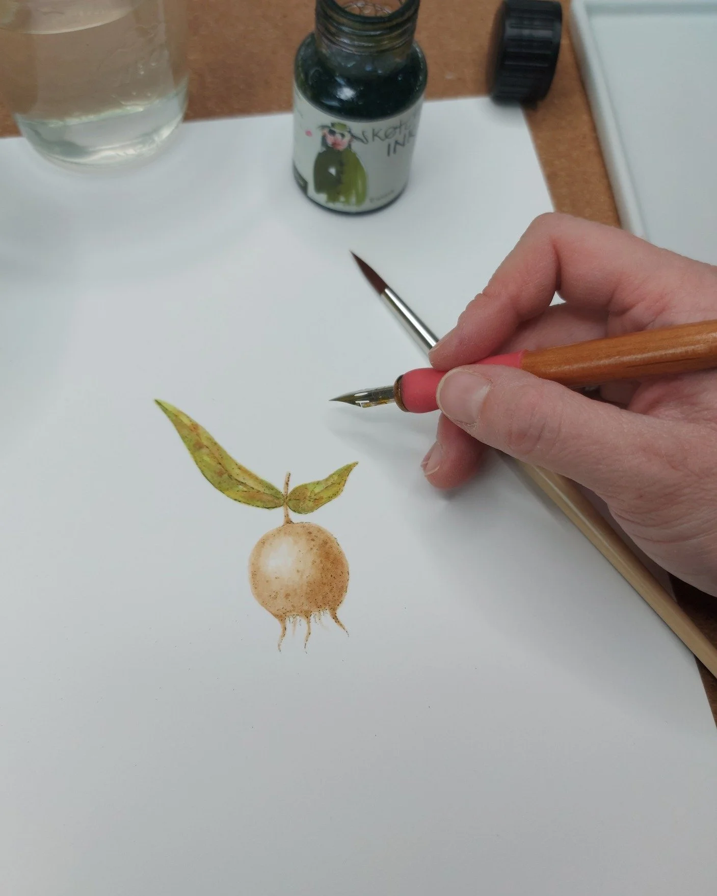 Half time in Alphabet Superset! 

M like medlar or Mespilus germanicus.

Do you know medlars, or do you even have a medlar in your garden? 
Medlars are not so common in Germany anymore, which is sad.

It&acute;s very easy to grow and doesn&acute;t ne
