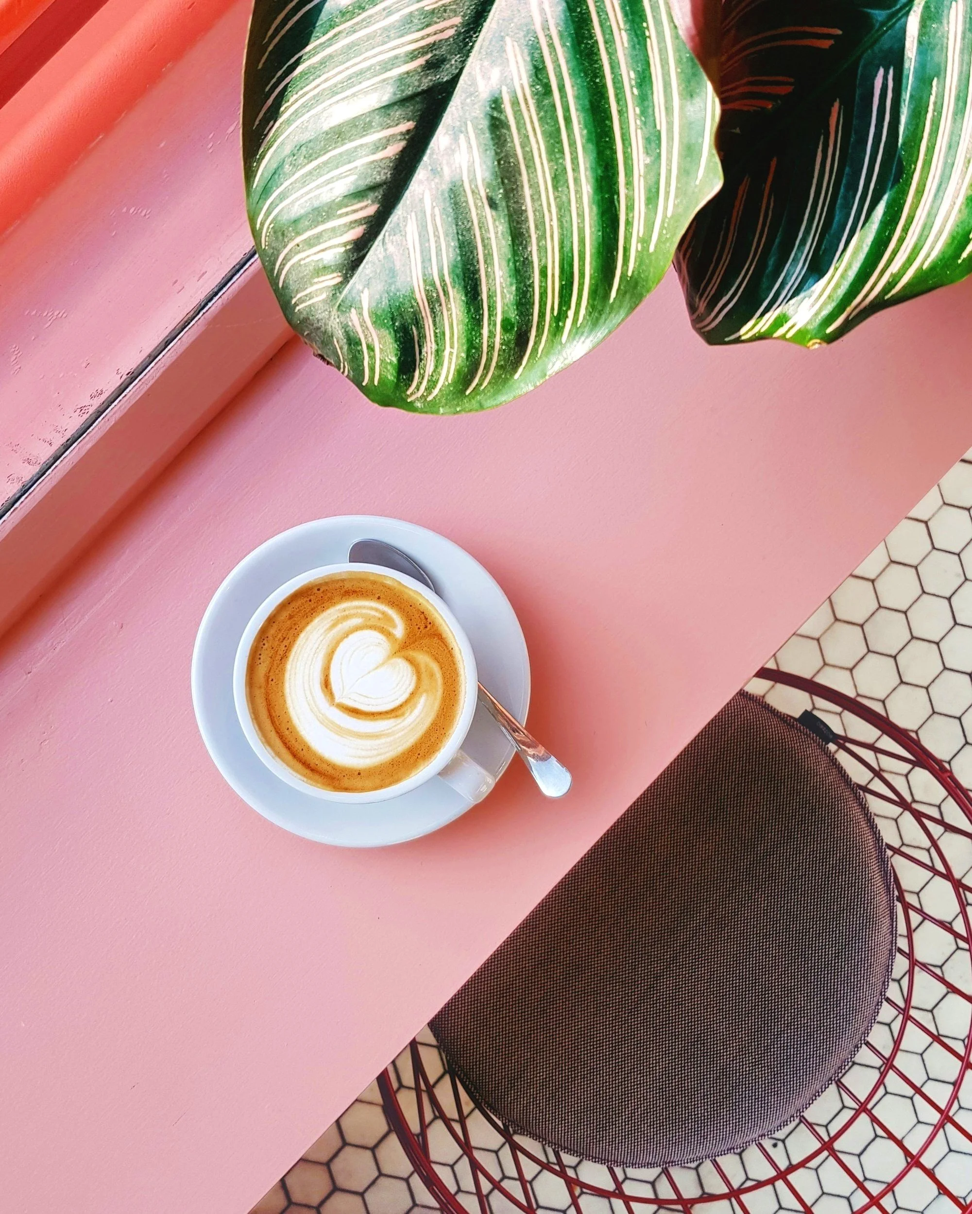 Cappuccino auf rosa Tisch mit Pflanze