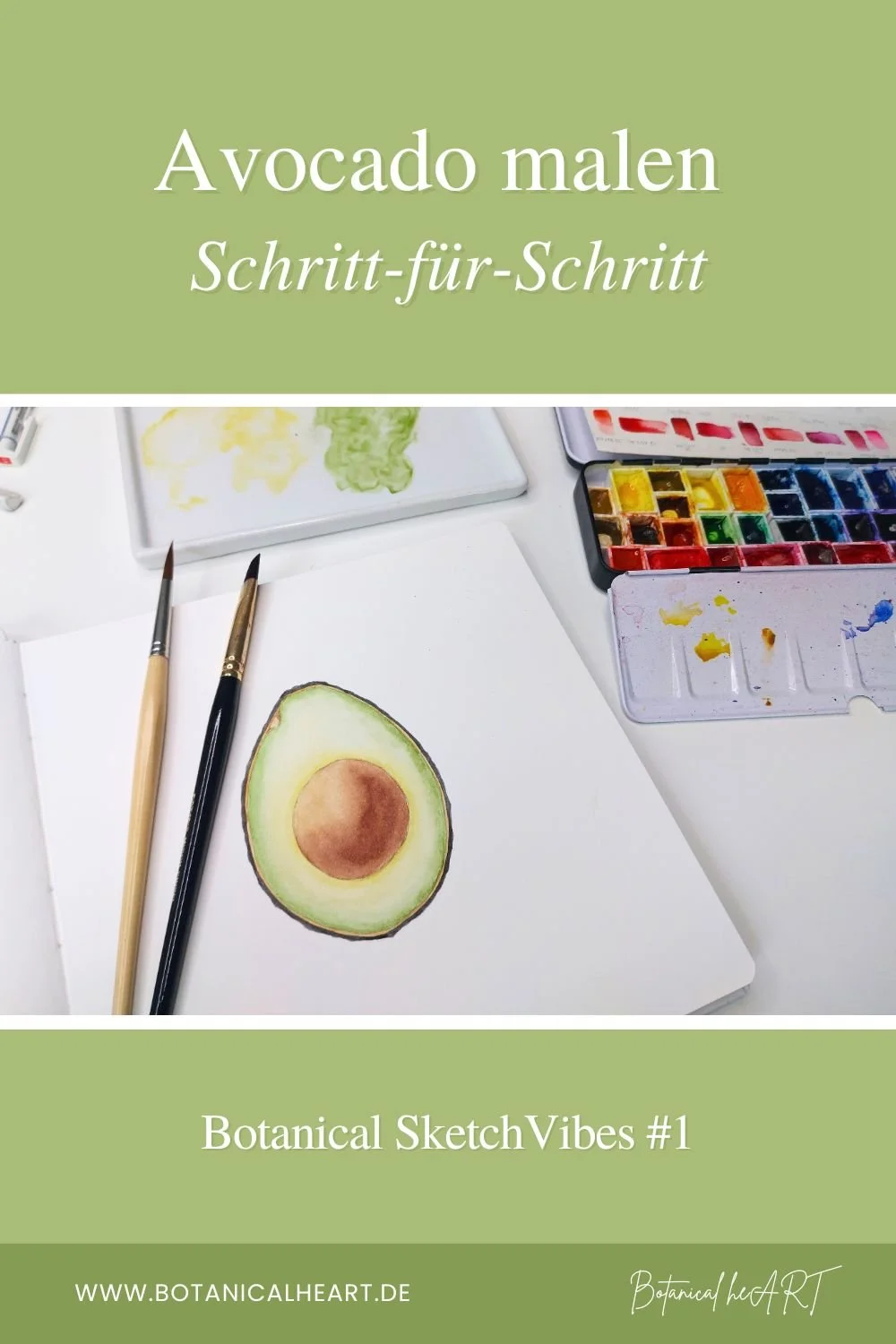 Avocado malen Schritt-für-Schritt