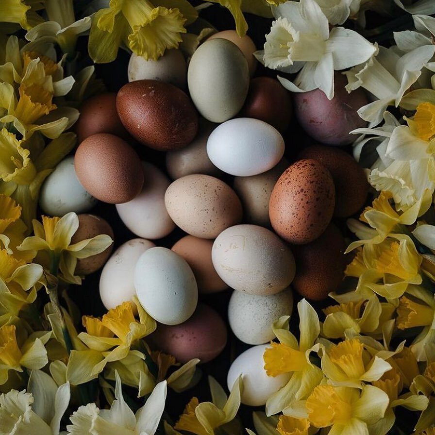 Ostara Celebration + Cosmic Egg

On the Wheel of the Year, spring is a time of the rising sun, the portal of the East. We invoke Eostre, Ostara or Oestre, the Goddess of spring, the dawn and fertility. She is honoured during April with festivals to c