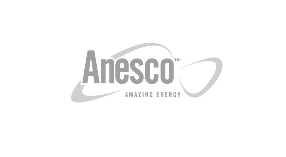 2026_SUPPORTED_clients_anesco.jpg