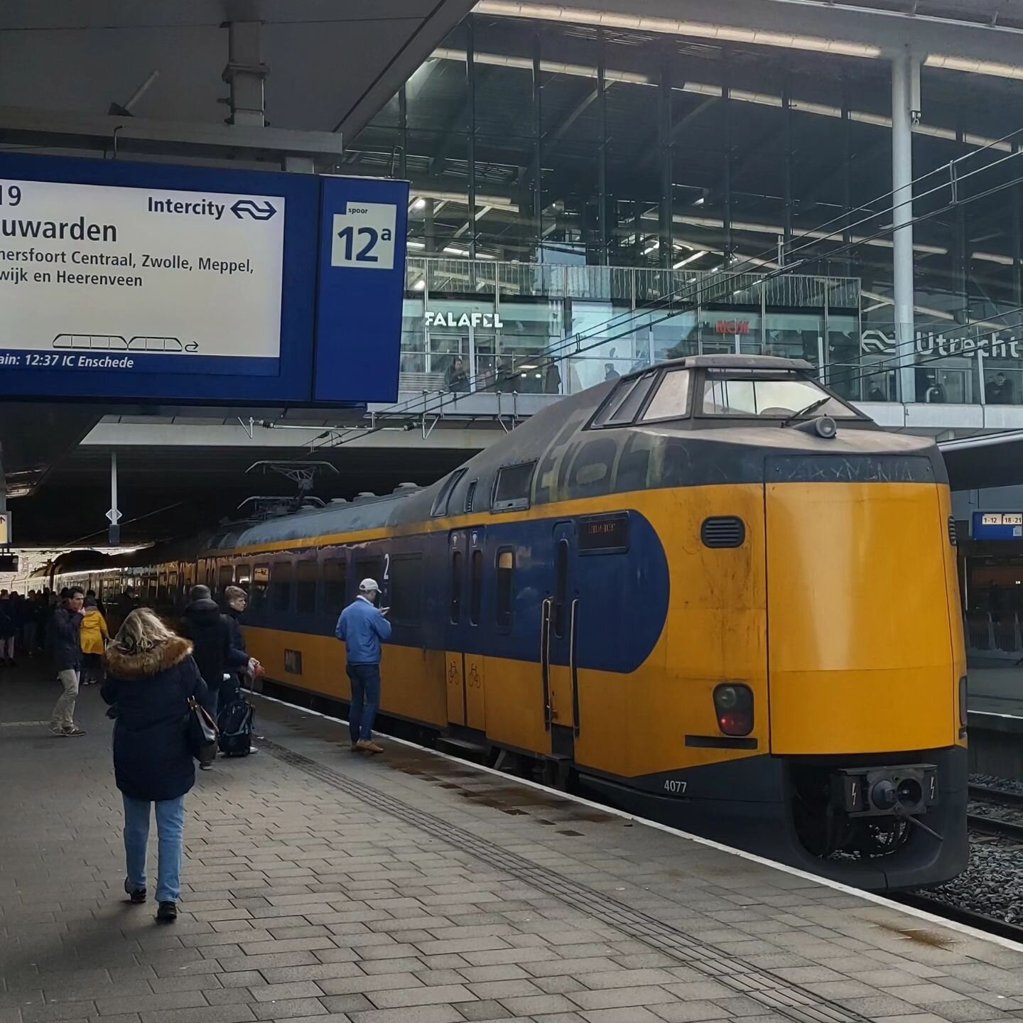 It doesn't get more Dutch than those big yellow/blue NS trains 😎

Just came back from a trip to the Netherlands 🇳🇱 feeling very fortunate for the opportunity to travel and visiting friends and family 💕

Lots of train rides, doggy cuddles, concert